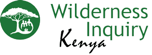 WI_Kenya_Logo